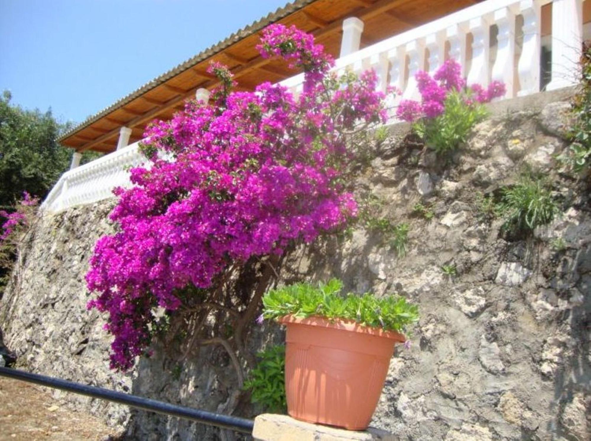 Apartment Anthimos Paleokastritsa